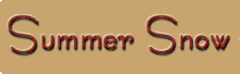 summersnow_logo